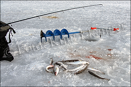 Isfiskere - Islagt i Stavern - © Foto: Knut Ekanger