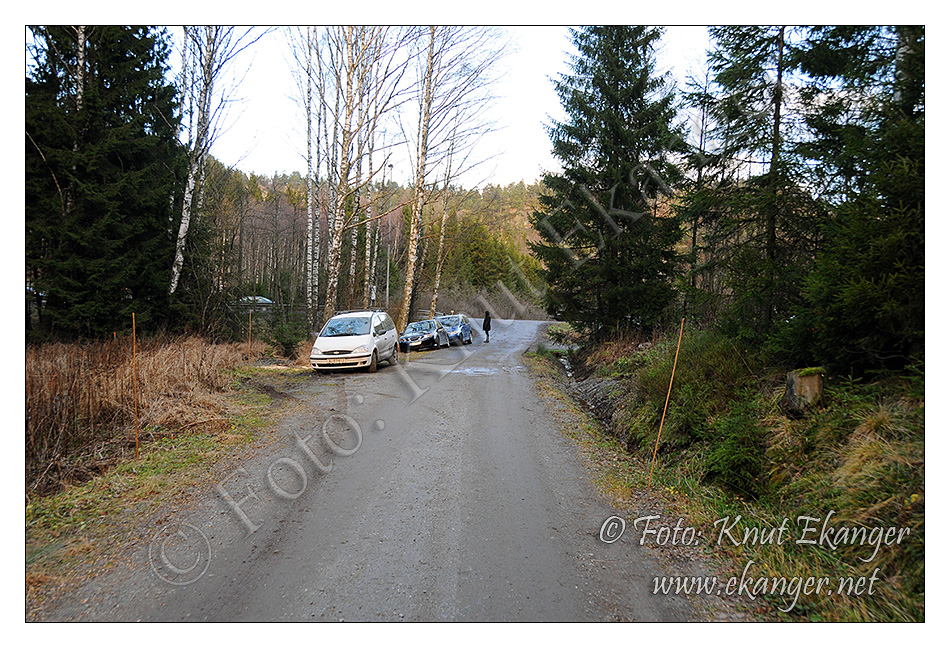 Mange velger å parkere langs skogsveien   -  © Foto: Knut Ekanger / www.ekanger.net