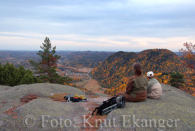 Utsikt fra Musekollen  -  Foto: Knut Ekanger