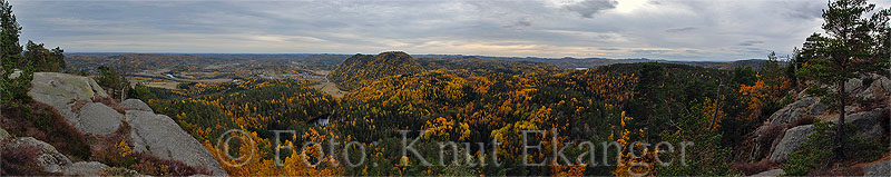 Utsikt fra Musekollen  -  Foto: Knut Ekanger