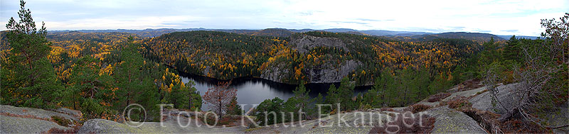 Utsikt fra Musekollen  -  Foto: Knut Ekanger