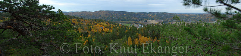 Utsikt fra Musekollen  -  Foto: Knut Ekanger