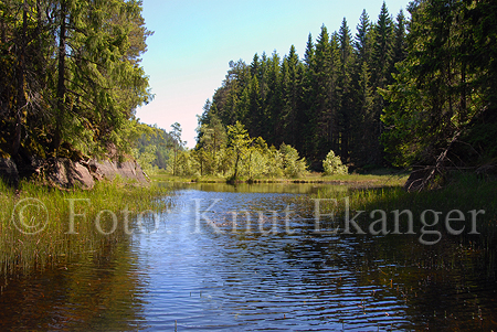 Farris  - omrdet Kjose, Bjrnya og Eikenesya. -  Foto: Knut Ekanger
