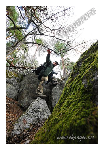 Bratte fjell i Sandefjords skoger -  Foto: Arve Sommerro - www.ekanger.net