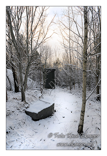 I tillegg til utsikten var det noen bunkere og en enslig utedo mitt i skogen. Alt sammen tilhrer den grnne hytta som en gang har hvert et kystfort.    -   Foto: Knut Ekanger / www.ekanger.net