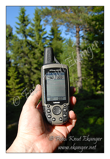 Salss - Toppen p 222 mtr er mitt inne i skogen s der ser du ikke stort. - GPS -  Foto: Knut Ekanger