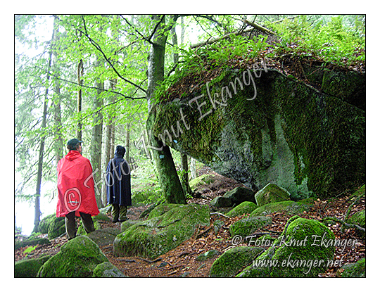 Ulfsbakktunnelen - Stor stein -   Foto: Knut Ekanger