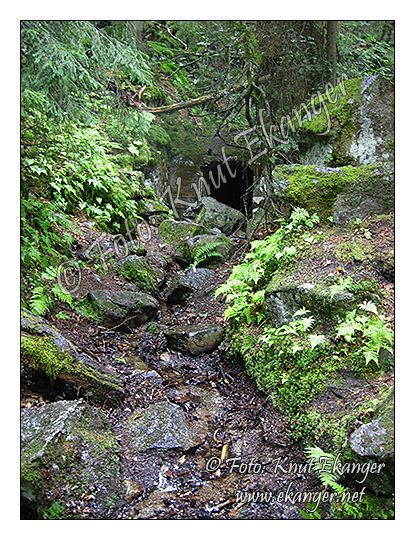 Ulfsbakktunnelen - inngangen -   Foto: Knut Ekanger