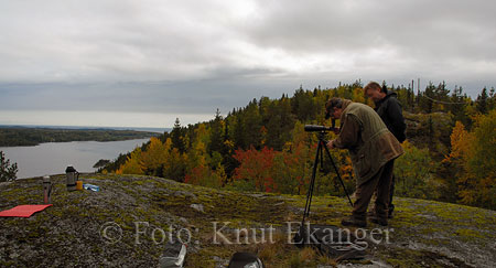 Vardeberget -  Foto: Knut Ekanger