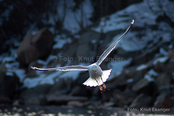 D70ke_2005_DSC_0504