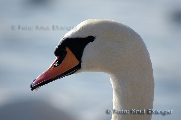 D70ke_2005_DSC_0621