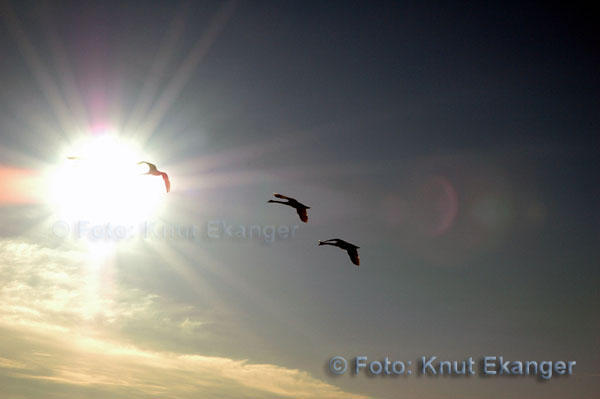 D70ke_2005_DSC_1287