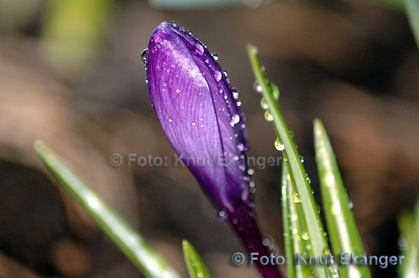 D70ke_2005_DSC_1402