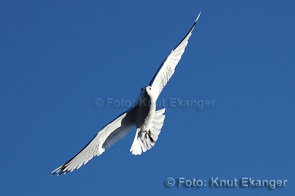 D70ke_2005_DSC_4580