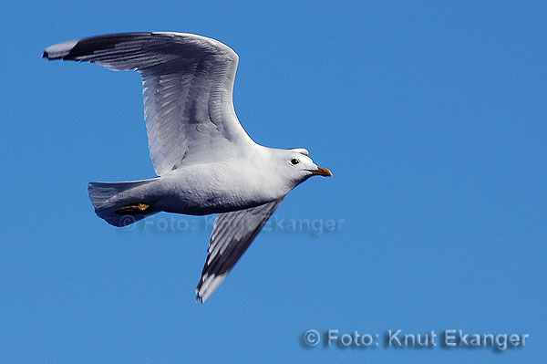 D70ke_2005_DSC_4587
