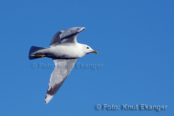 D70ke_2005_DSC_4588