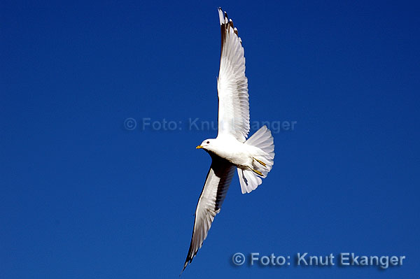 D70ke_2005_DSC_4607