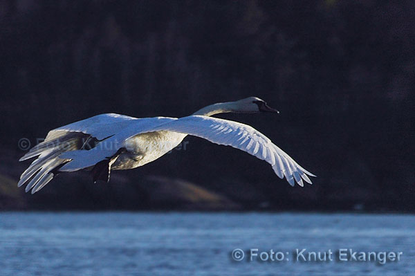 D70ke_2005_DSC_4709