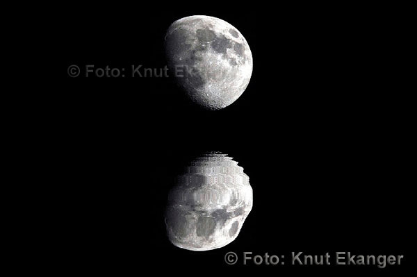 D70ke_2005_Mnelyst_01