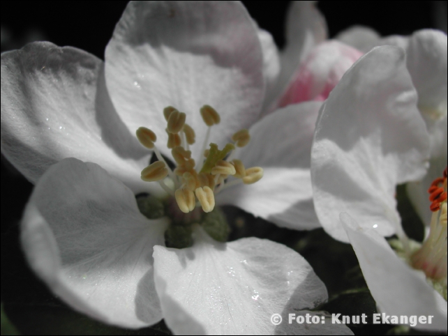 Nikon885ke_0020