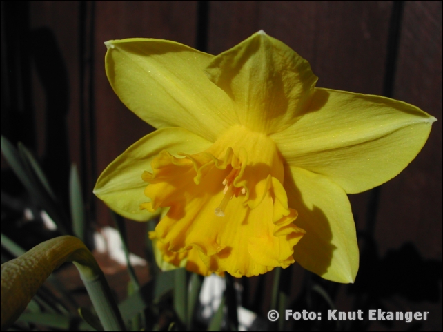 Nikon885ke_0077