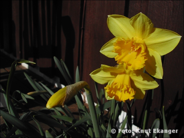 Nikon885ke_0078