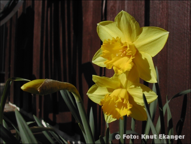 Nikon885ke_0080