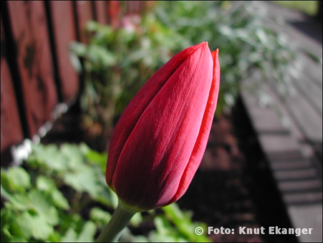 Nikon885ke_0081