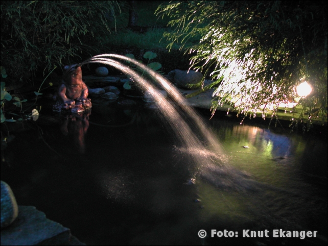 Nikon885ke_0085