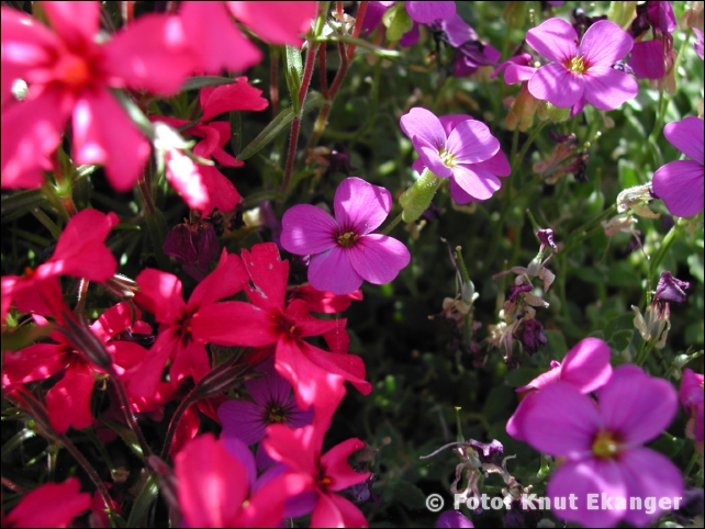 Nikon885ke_0087