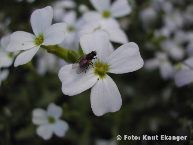 Nikon885ke_0089