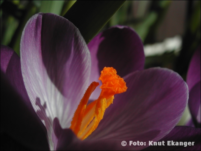 Nikon885ke_0120