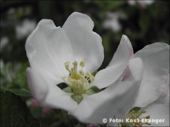 Nikon885ke_0127