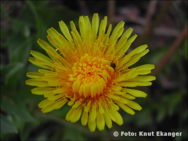 Nikon885ke_0129