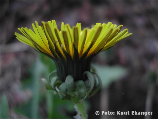 Nikon885ke_0130