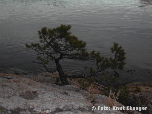 Nikon885ke_0152