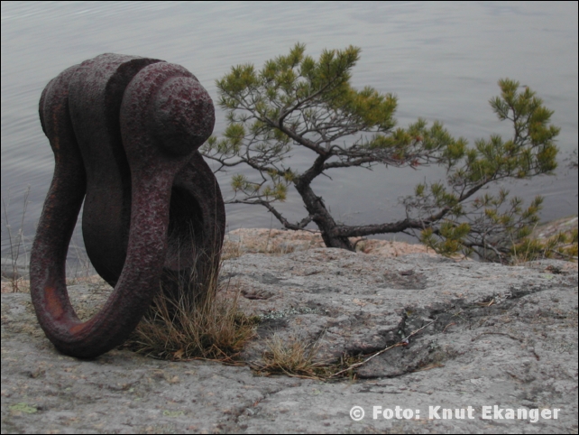 Nikon885ke_0153