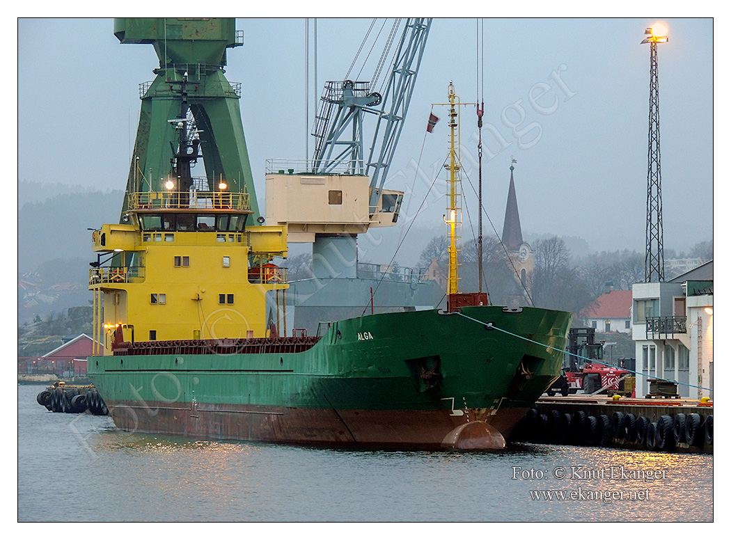 Alga ved kaia i kanalen, Larvik havn 17.11.2012
