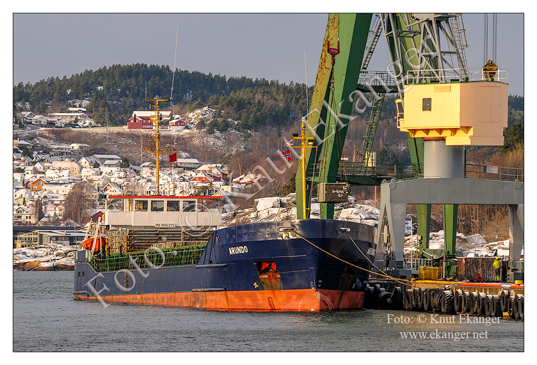 Arundo ved kai i kanalen, Larvik havn - 05.01.2012.